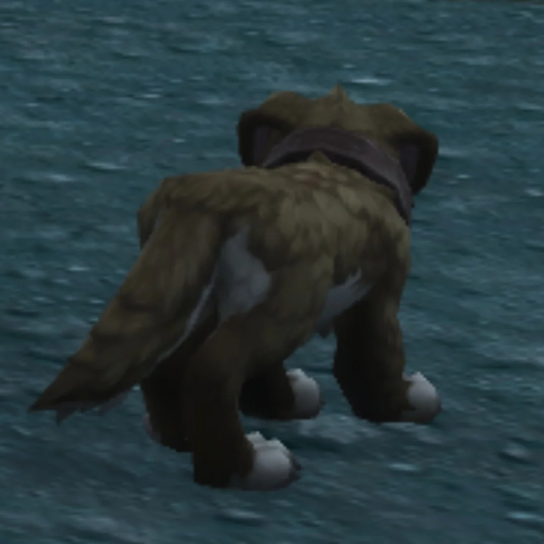 ALERT !! ! ! ! ! ! ! ! ! !! ! ! ! ! ! ! MISSING DOG ! ! ! ! ARE U AT THE TOURNAMENT OF AGES ? ! ! IF SO THERE IS A MISSING DOG HE IS A GOOD BOY AND RAD AS FUCKK